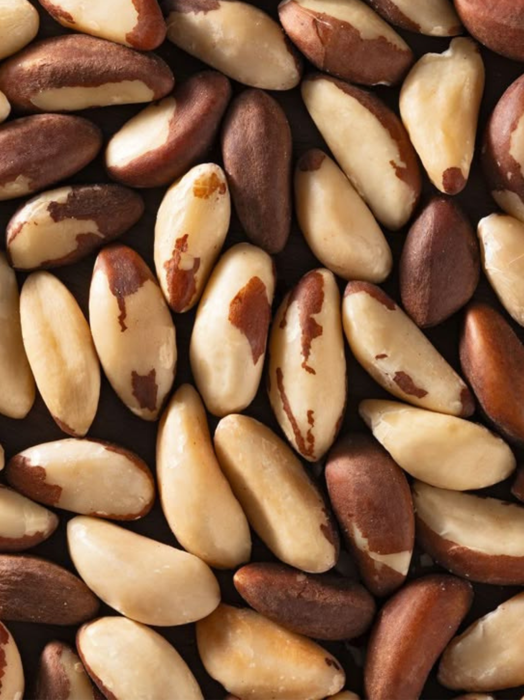 Brazil Nuts