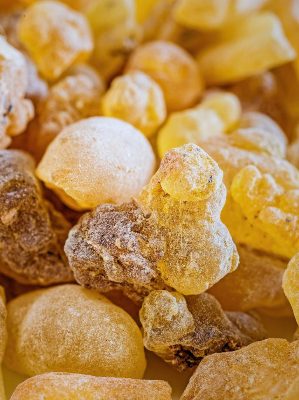 Frankincense Essential Oil