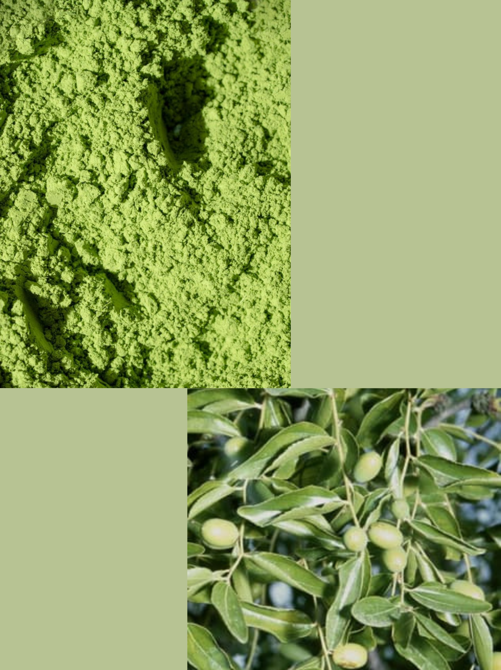 Qasil Powder