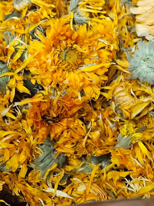 Dried Calendula Flower
