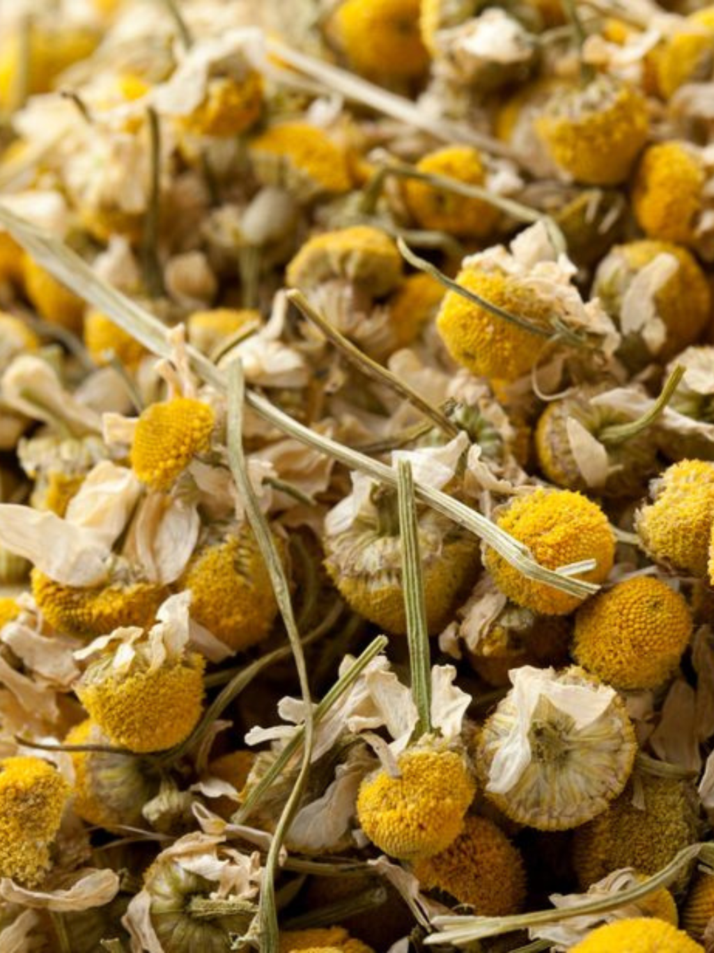 Dried Chamomile Flowers