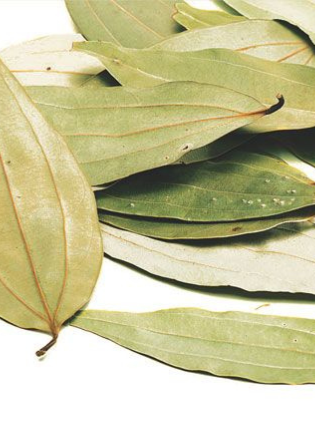 Dried Bay Leaves